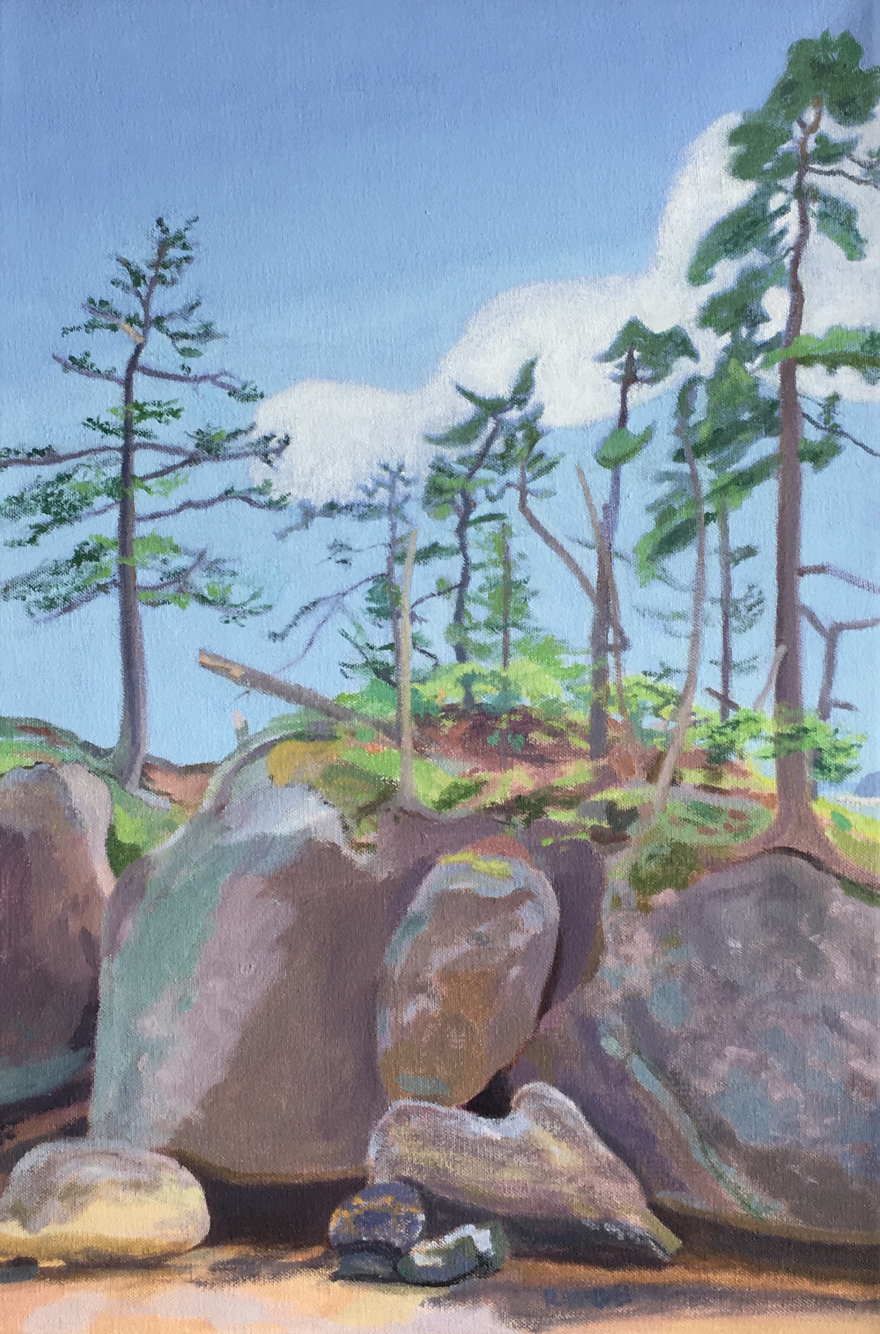 Trees on Rocks